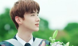 娱乐爆料 白敬亭视频,幕后花絮引网友热议